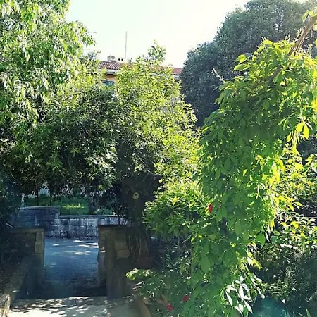 Eden Apartman